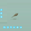 [avatar]