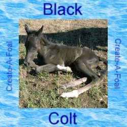 blackcolt