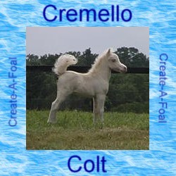 cremellocolt