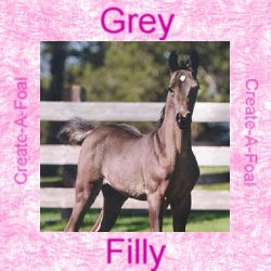 greyfilly.jpg