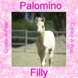 palominofilly