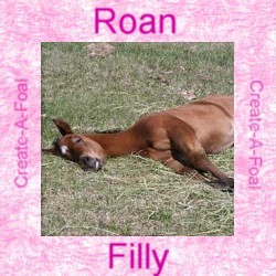 roanfilly