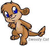Brown Zaffy