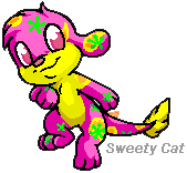 Disco Zaffy