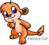 Orange Zaffy