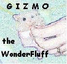 Gizmo's Home